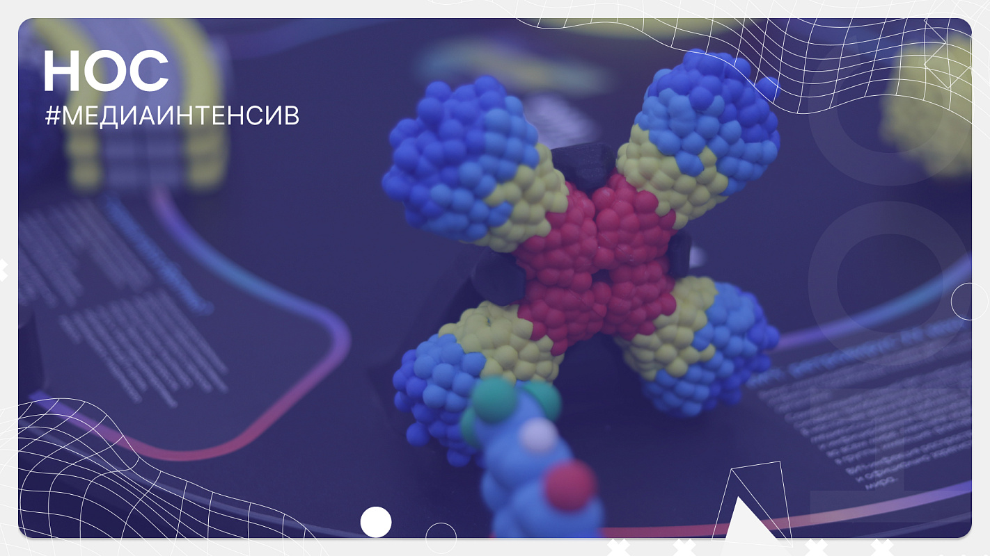 Как молодые ученые решают задачи, поставленные в рамках Десятилетия?